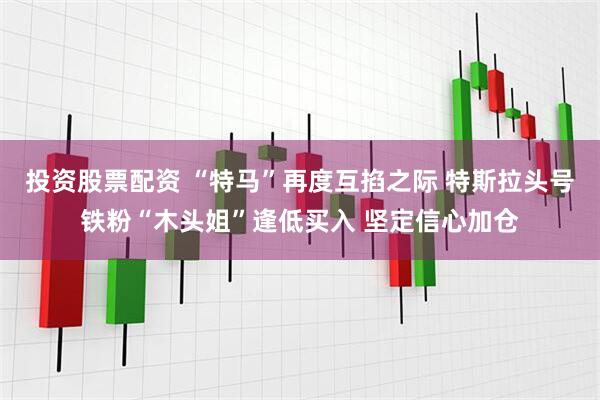 投资股票配资 “特马”再度互掐之际 特斯拉头号铁粉“木头姐”逢低买入 坚定信心加仓