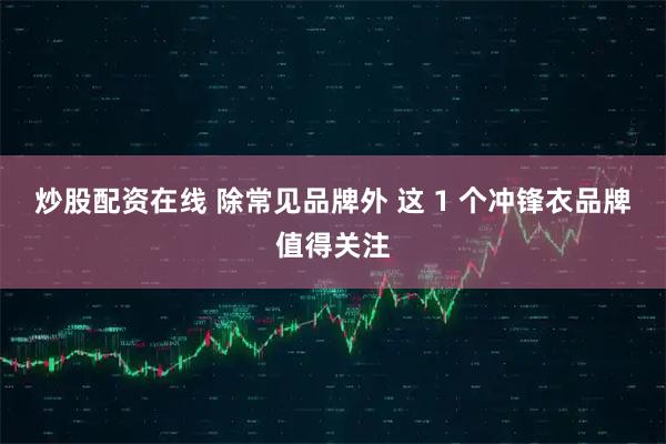 炒股配资在线 除常见品牌外 这 1 个冲锋衣品牌值得关注