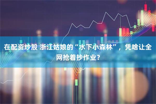 在配资炒股 浙江姑娘的“水下小森林”，凭啥让全网抢着抄作业？